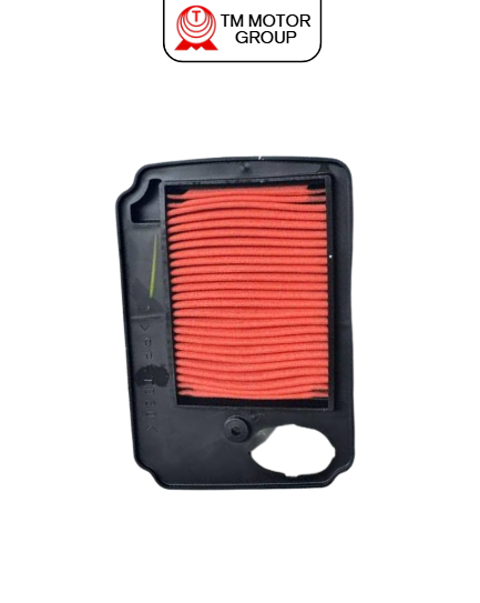 AIR CLEANER ELEMENT ASSY (14D1)