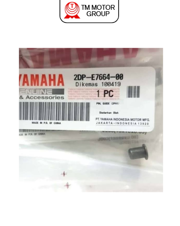 PIN, GUIDE (2PH1)