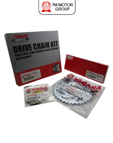 CHAIN & SPROCKET KIT (1DY1)