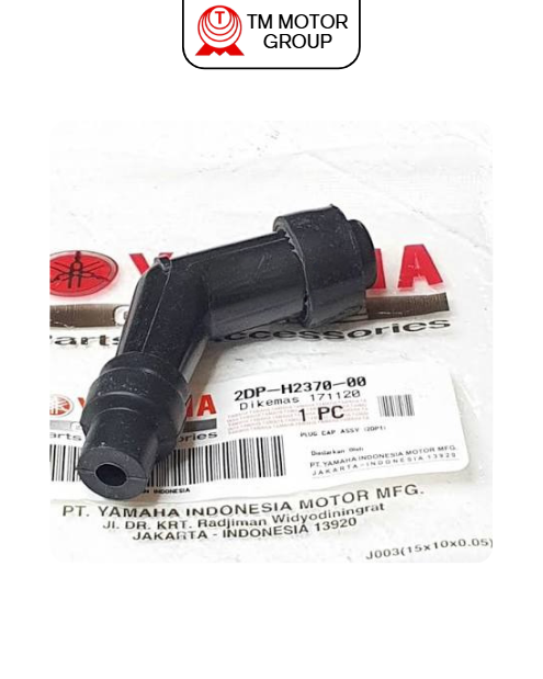 PLUG CAP ASSY (2DP2)