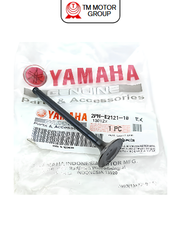 VALVE, EXHAUST (2PH5)