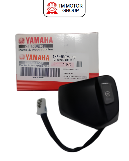 SWITCH, HANDLE 1 (1KP1)