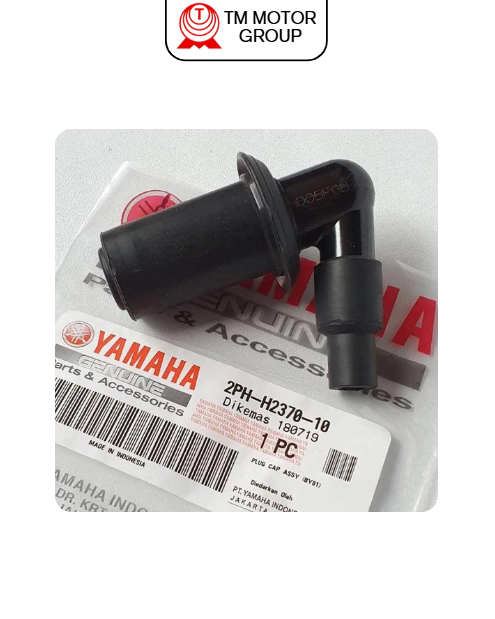 PLUG CAP ASSY (BY81)
