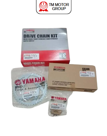 CHAIN & SPROCKET KIT (2PK1)