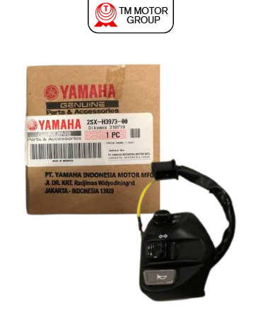 SWITCH, HANDLE 3 (2SX1)