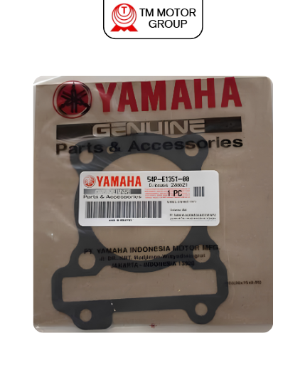 GASKET, CYLINDER (54P1)
