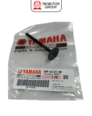 VALVE, EXHAUST (54P1)
