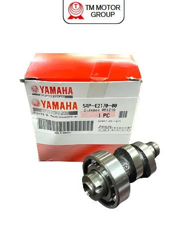 CAMSHAFT ASSY 1 (54P1)