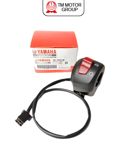 SWITCH, HANDLE 2 (1PA1)
