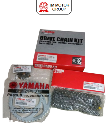 CHAIN & SPROCKET KIT (1PA1)