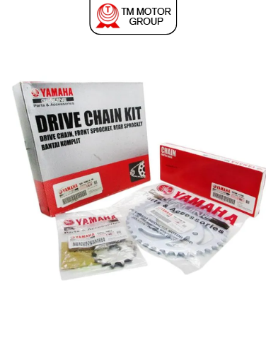 CHAIN & SPROCKET KIT (31B1)