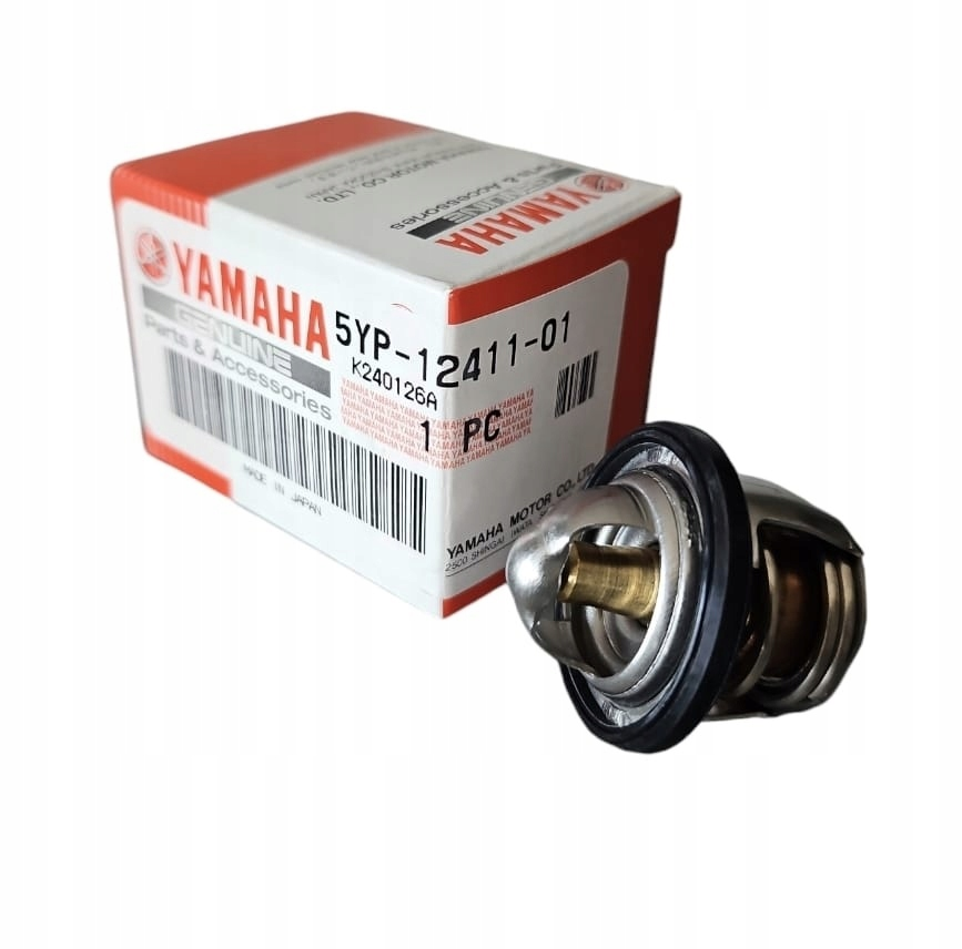 THERMOSTAT (1S71)