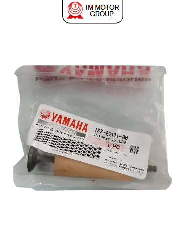 VALVE, INTAKE (1S71)
