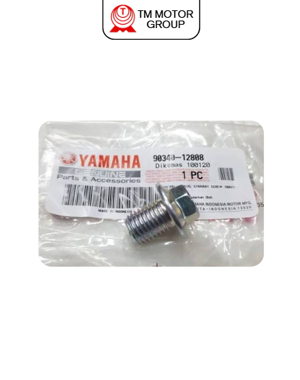 PLUG, STRAIGHT SCREW (5MX1)