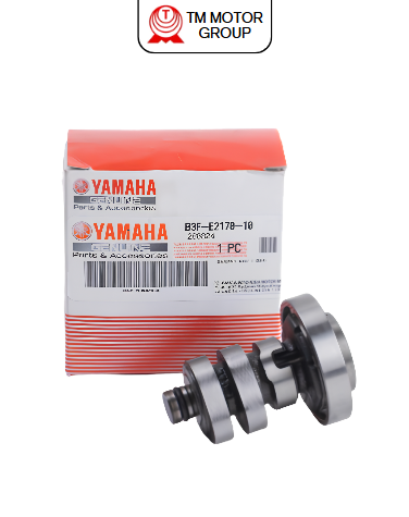 CAMSHAFT ASSY 1 (B3F4)