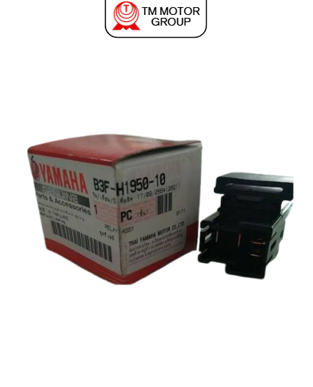 RELAY ASSY (B3F1)