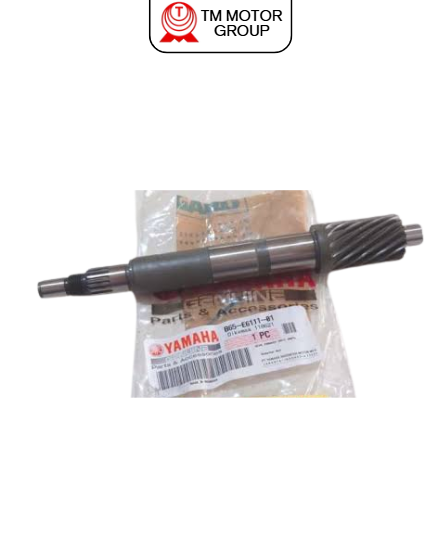 GEAR, PRIMARY DRIVE (BBP1)