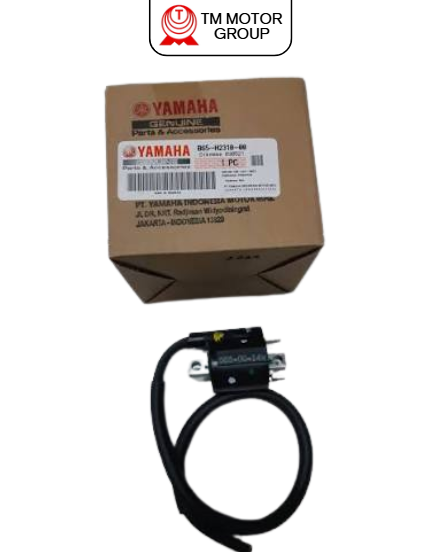 IGNITION COIL ASSY