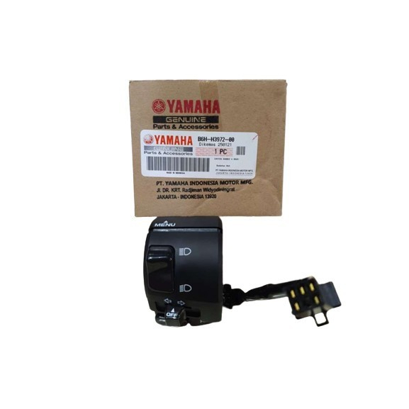 SWITCH, HANDLE 4 (B6H1)