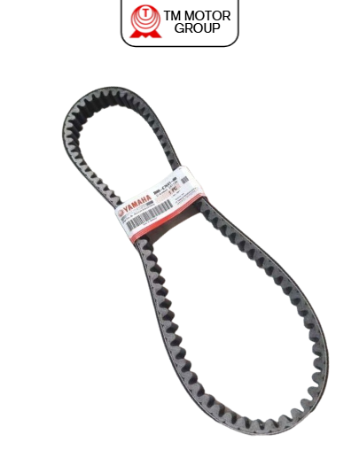 V-BELT (BBP1)