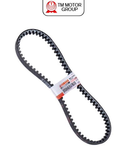 V-BELT (B9Y1)