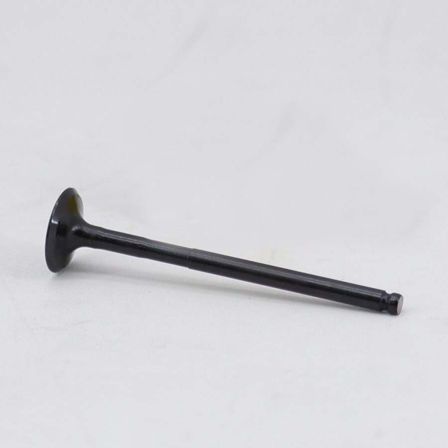 VALVE, INTAKE (BK61)