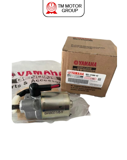 STARTING MOTOR ASSY
