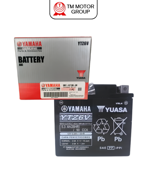 BATTERY ASSY YTZ6V
