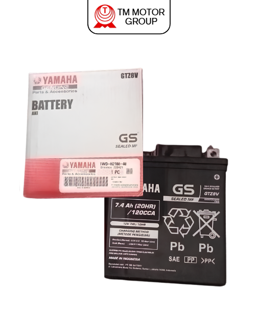 BATTERY ASSY GTZ8V